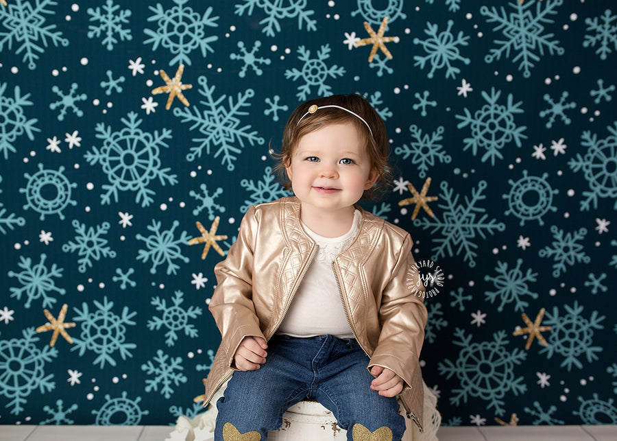 Snow Much Fun - HSD Photography Backdrops 