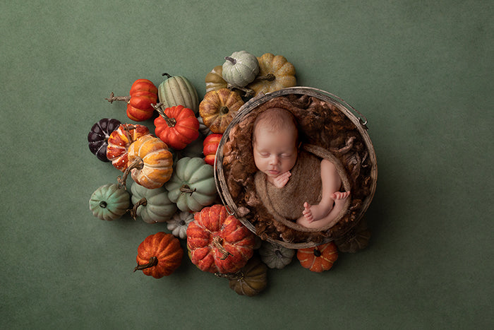 Pick of the Patch I | Newborn Digital Backdrop - HSD Photography Backdrops 