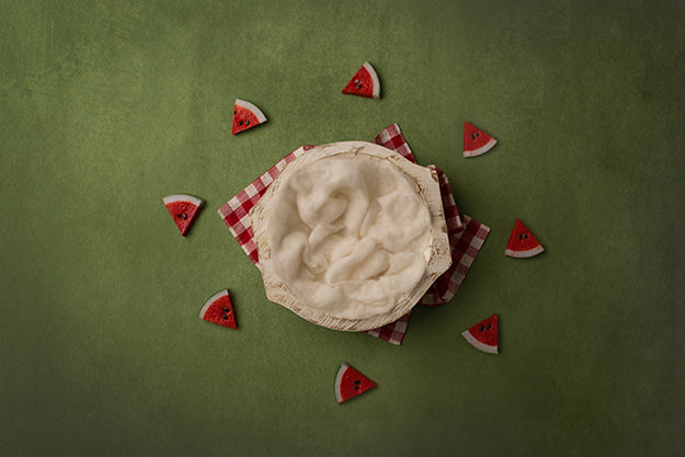 Slice Of Summer | Picnic Coll. | Digital - HSD Photography Backdrops 