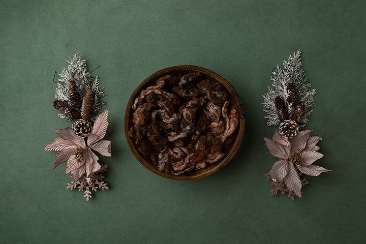 Pretty Poinsettias I | Digital - HSD Photography Backdrops 