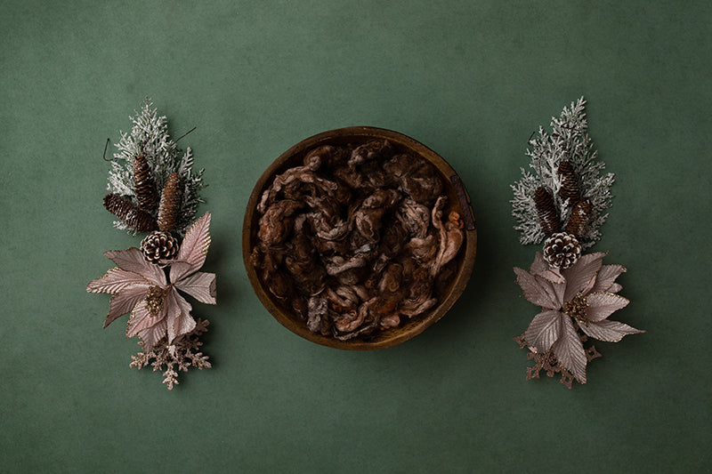 Pretty Poinsettias I | Digital - HSD Photography Backdrops 