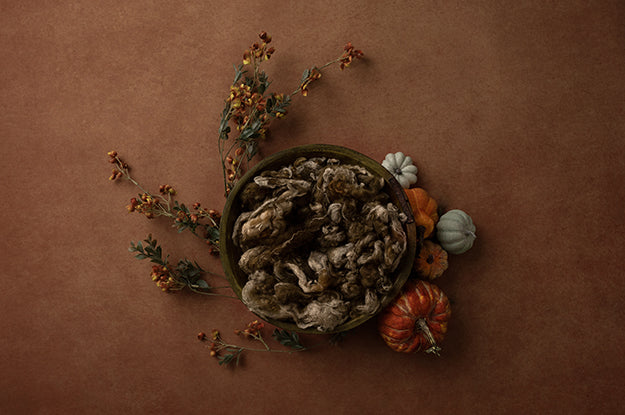 Pumpkin Centerpiece Brown | Lovely Leaves Coll. | Digital - HSD Photography Backdrops 