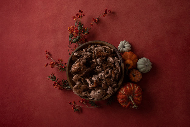Pumpkin Centerpiece Red | Lovely Leaves Coll. | Digital - HSD Photography Backdrops 
