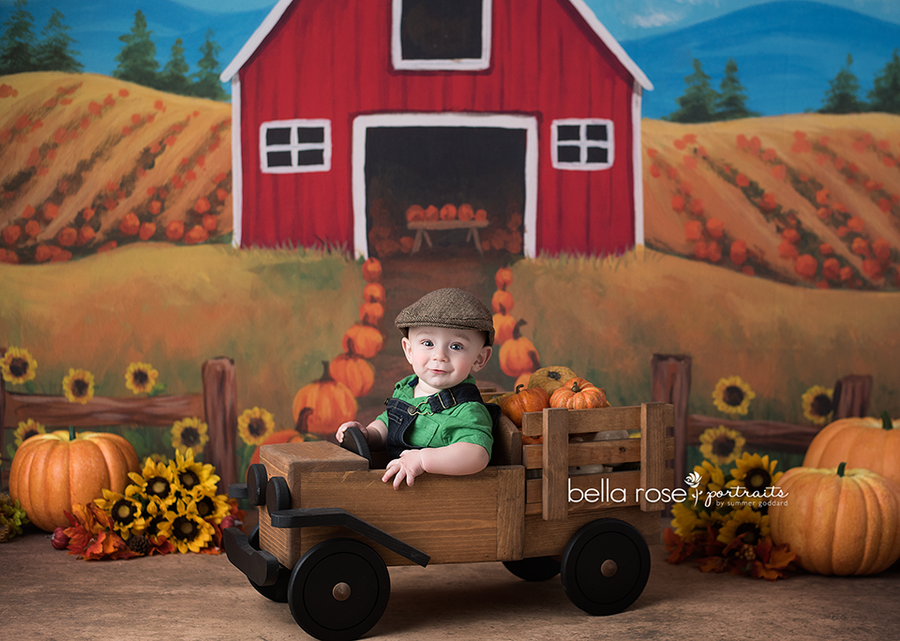 Country Pumpkins - HSD Photography Backdrops 