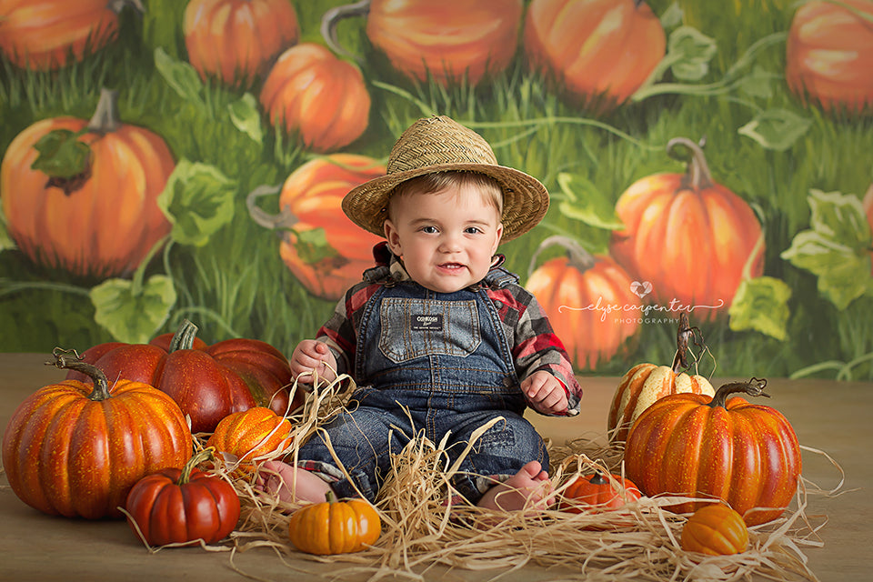 Pumpkin Field - HSD Photography Backdrops 