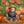 Pumpkin Field - HSD Photography Backdrops 