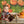 Pumpkin Field - HSD Photography Backdrops 