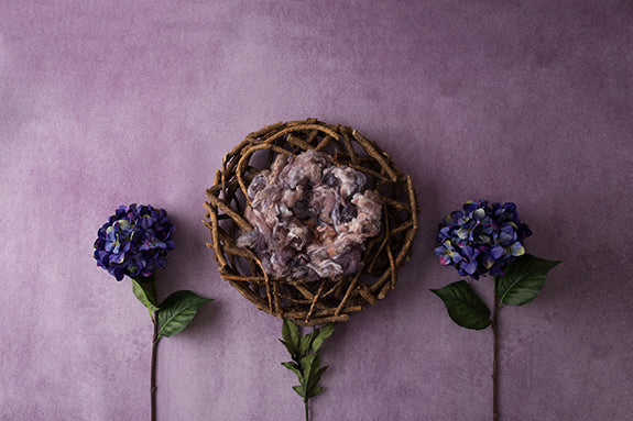 Plum | Purple Perfection Coll. | Digital - HSD Photography Backdrops 