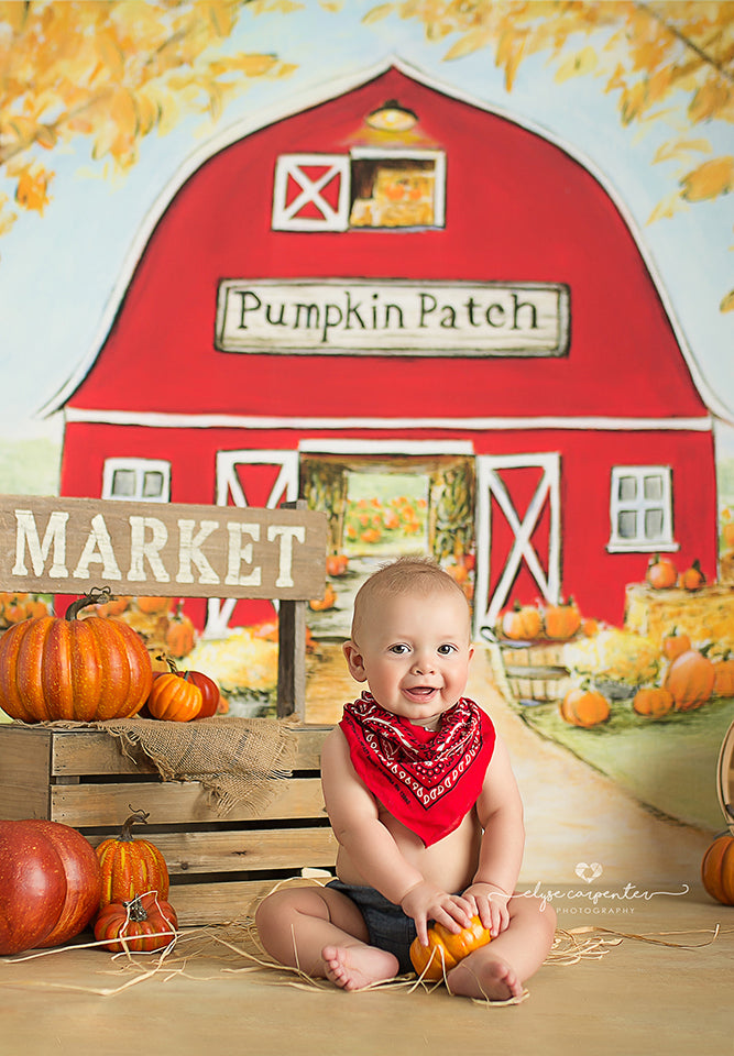 Farmstead - HSD Photography Backdrops 
