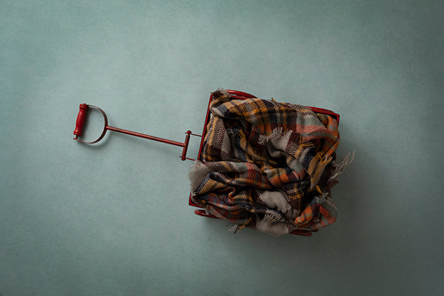 Red Wagon | Little Red Wagon Coll. | Digital - HSD Photography Backdrops 