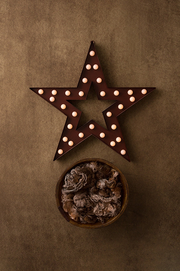 Rustic Star Collection | Digital - HSD Photography Backdrops 