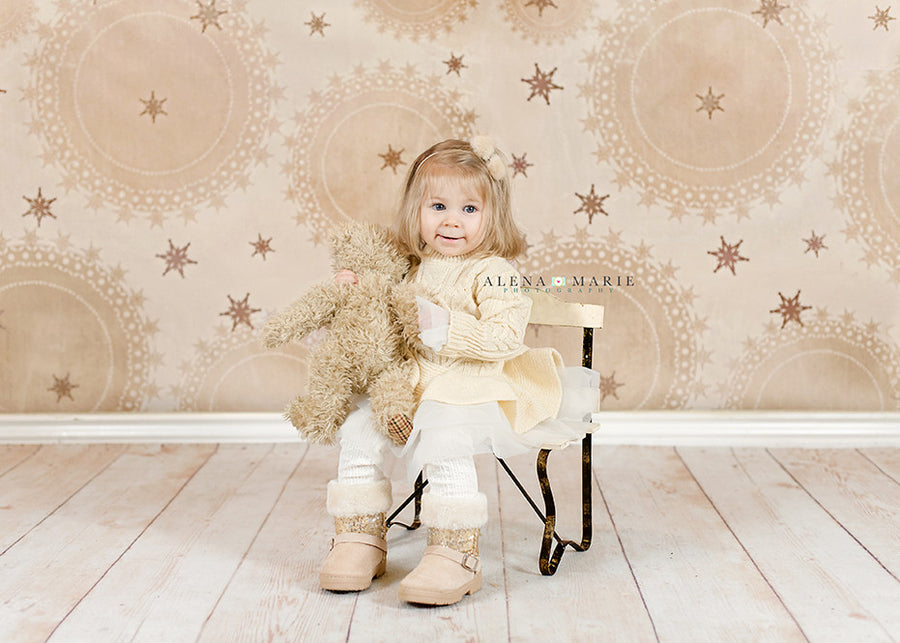 Holiday | Rustic Winter - HSD Photography Backdrops 