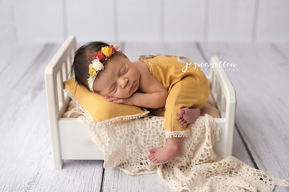Cozy Cottage Shabby Chic - HSD Photography Backdrops 