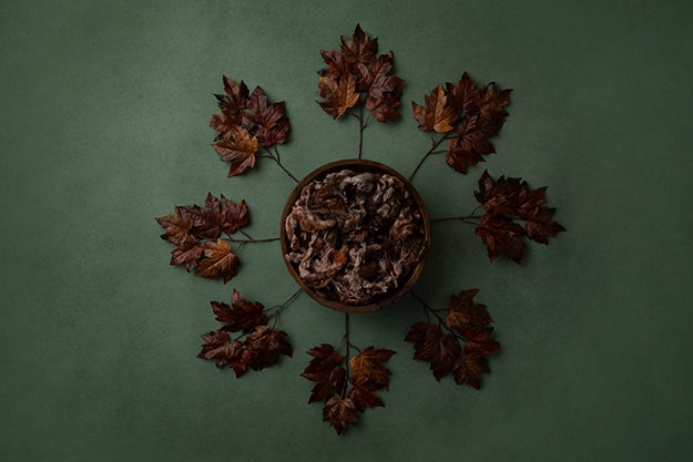 Rusty Autumn | Autumn Leaves Coll. | Digital - HSD Photography Backdrops 