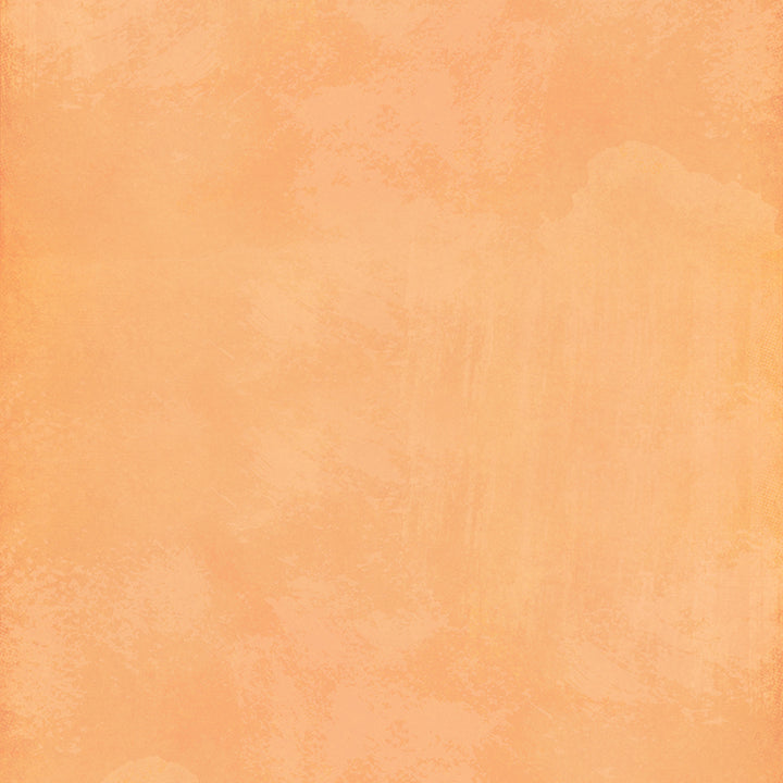 Orange Sorbet - HSD Photography Backdrops 