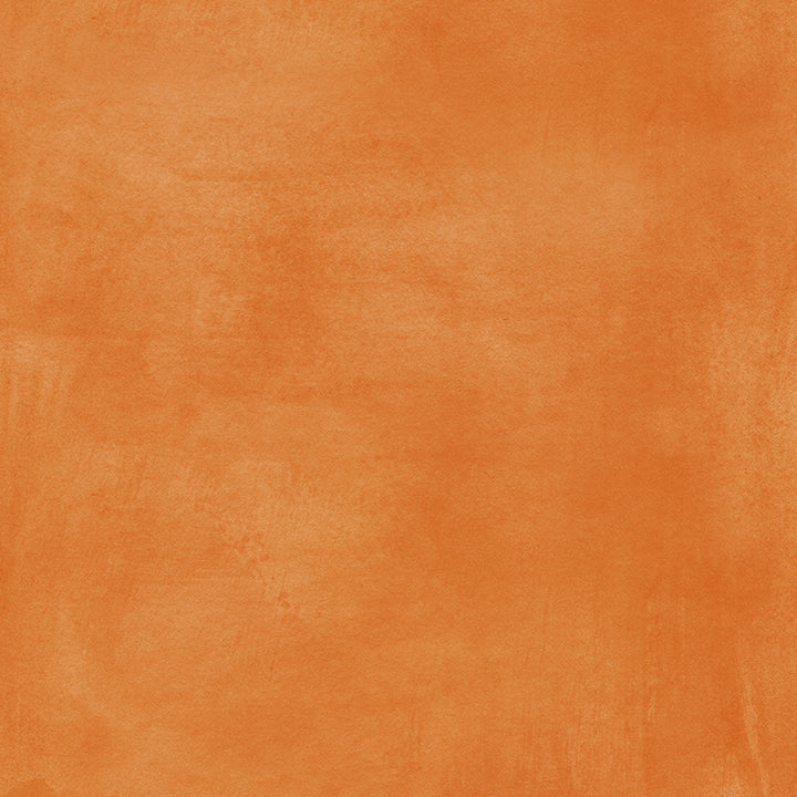 Orange Spice - HSD Photography Backdrops 