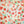 Summer Garden - HSD Photography Backdrops 