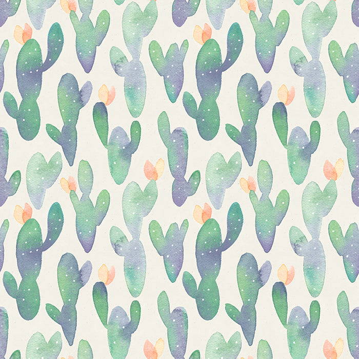 Cactus - HSD Photography Backdrops 