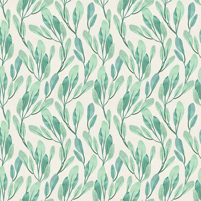 Sage - HSD Photography Backdrops 