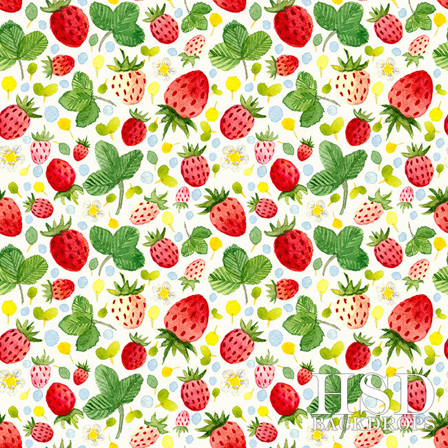 Photography Backdrop Background | Strawberry Shortcake - HSD Photography Backdrops 