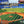 Baseball Ball Game - HSD Photography Backdrops 