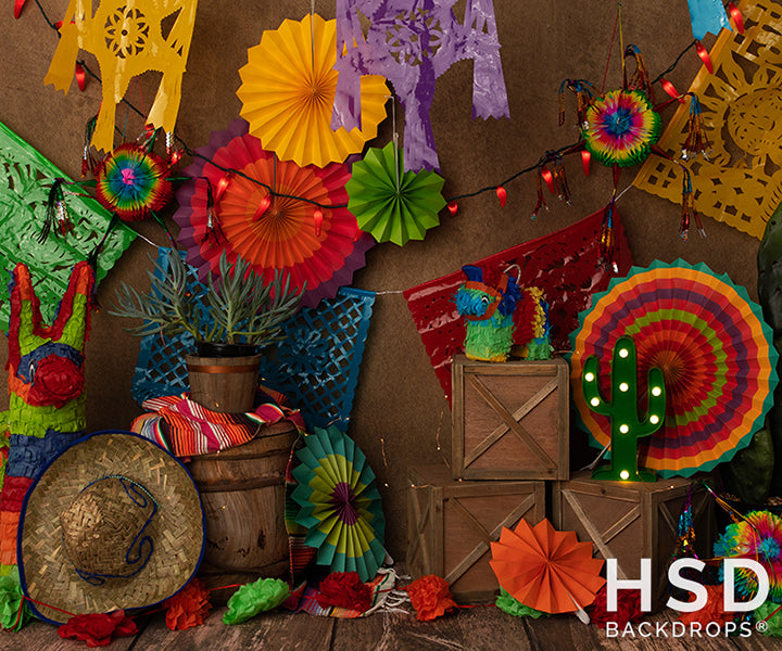 Fiesta Time - HSD Photography Backdrops 