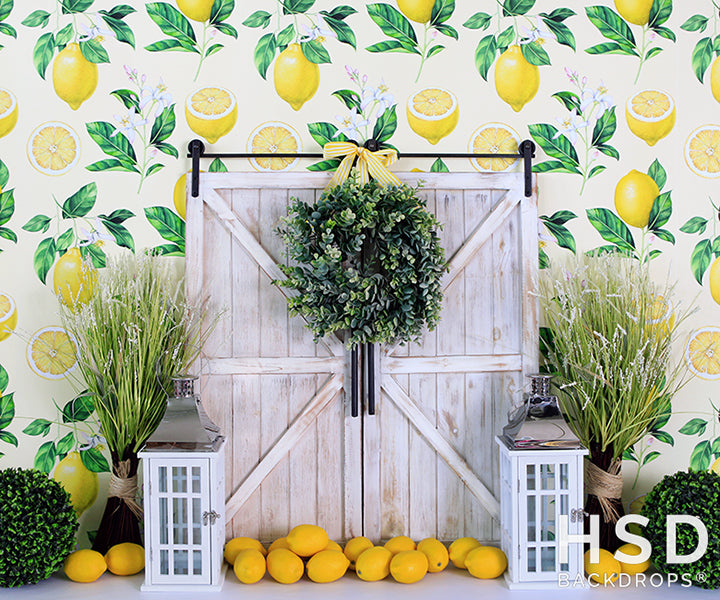 Lemon Drop - HSD Photography Backdrops 