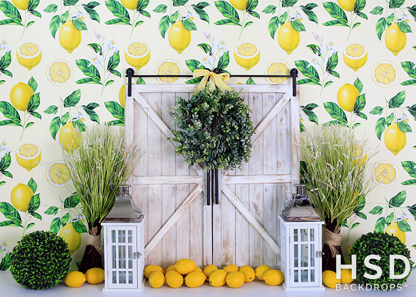 Lemon Grad Backdrop Lemon Drop Photography Backdrop Summer Photo Background Cake Smash ...