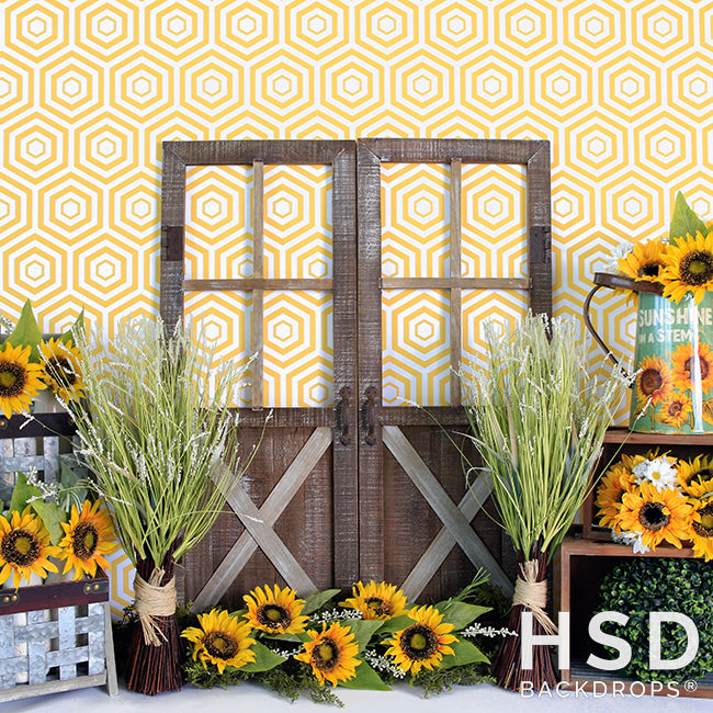 Sunflower Set Up - HSD Photography Backdrops 