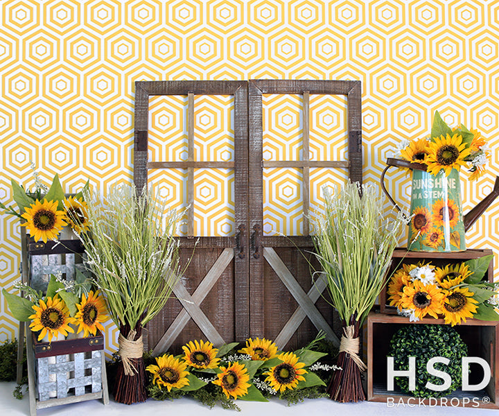 Sunflower Set Up - HSD Photography Backdrops 