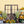 Sunflower Set Up - HSD Photography Backdrops 