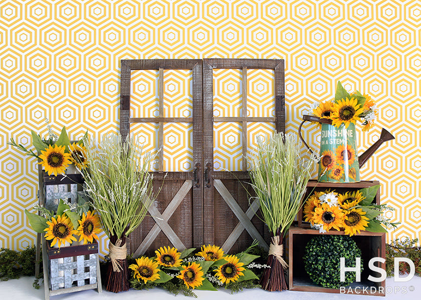 Sunflower Set Up - HSD Photography Backdrops 