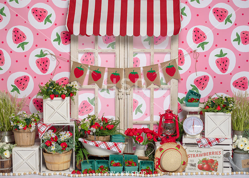 Strawberry Shortcake Set Up - HSD Photography Backdrops 