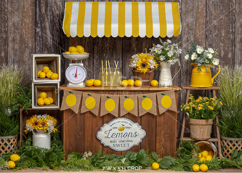 Lemonade Stand Set Up - HSD Photography Backdrops 