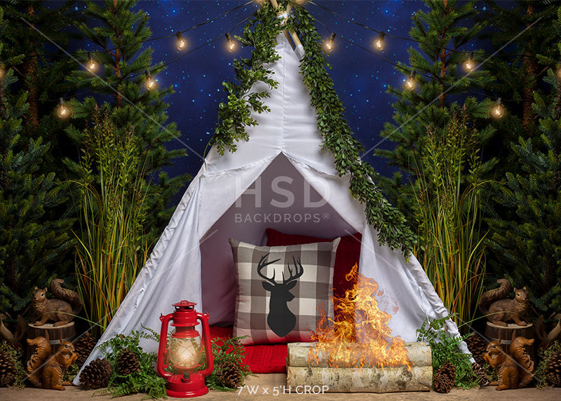 Camping Under the Stars - HSD Photography Backdrops 