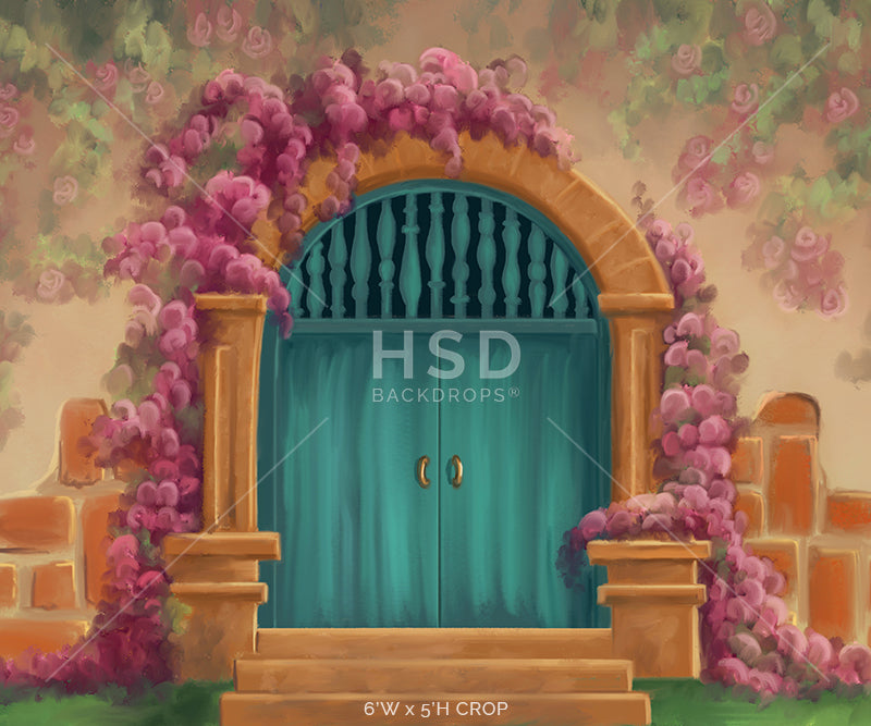 Casita Door - HSD Photography Backdrops 