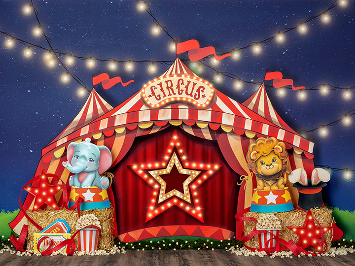 Circus photo backdrop for carnival themed cake smash photos 