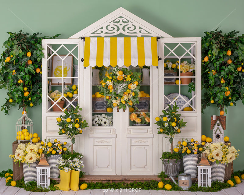 Lemon Grad Backdrop Lemon Backdrop for Summer Portraits. Lemon Themed Photo Background ...