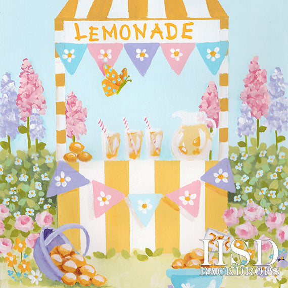 Lemonade Stand Photography Backdrop Props Spring Summer Mini Sessions