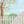 Spring Scene - HSD Photography Backdrops 