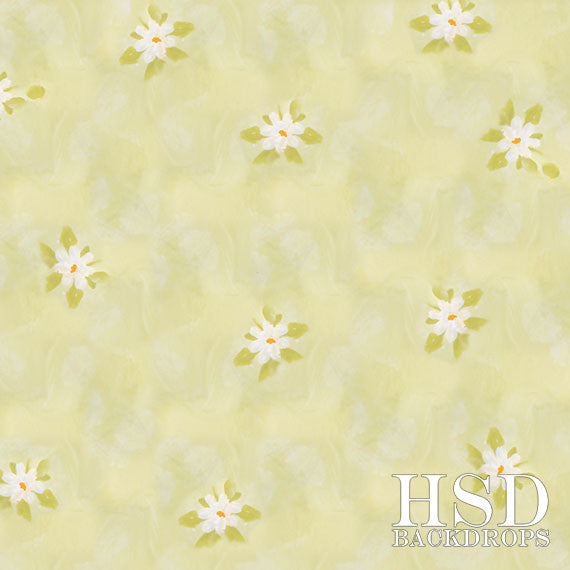 Lemonade Stand Floor - HSD Photography Backdrops 