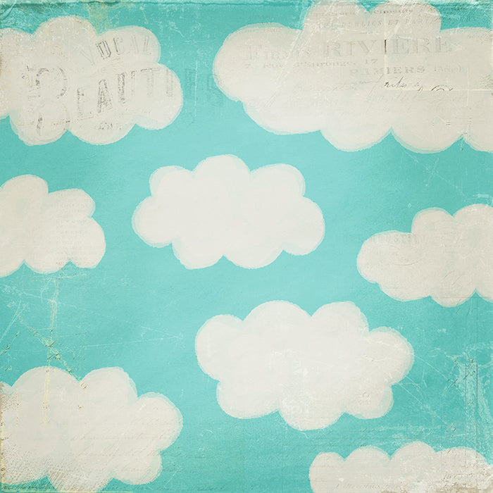 In the Clouds - HSD Photography Backdrops 