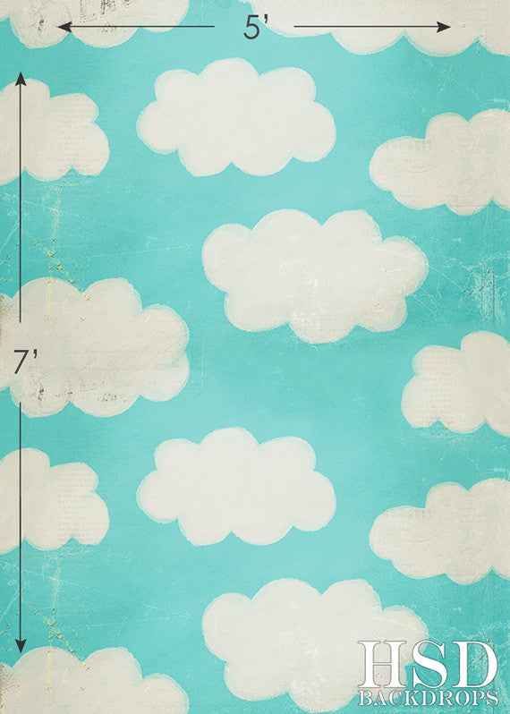 In the Clouds - HSD Photography Backdrops 
