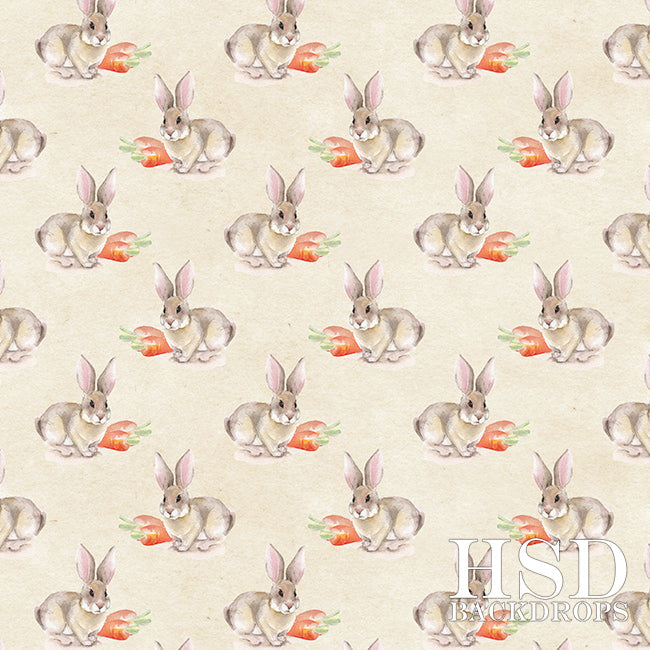 Cottontail - HSD Photography Backdrops 