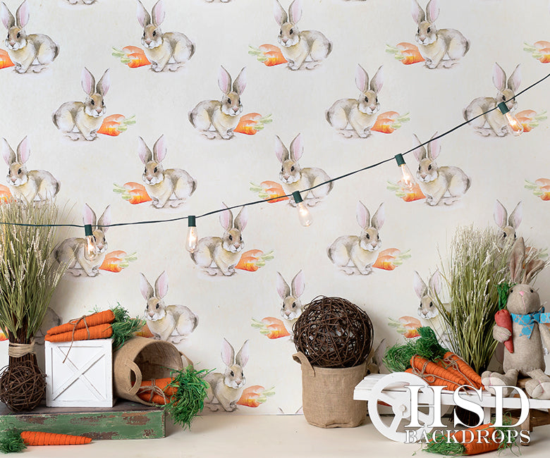 Easter Set Up - HSD Photography Backdrops 