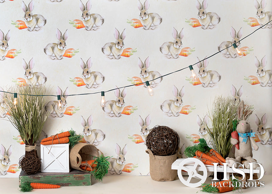 Easter Set Up - HSD Photography Backdrops 