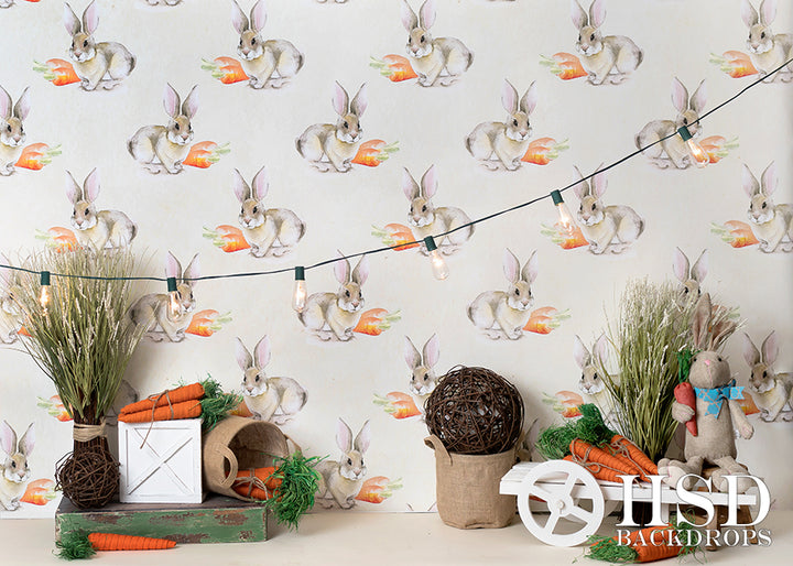 Easter Set Up - HSD Photography Backdrops 