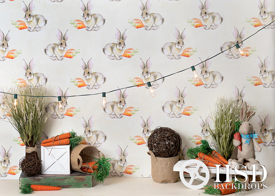 Easter Set Up - HSD Photography Backdrops 