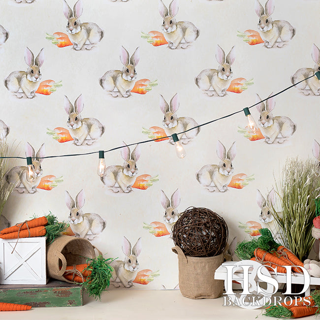 Easter Set Up - HSD Photography Backdrops 