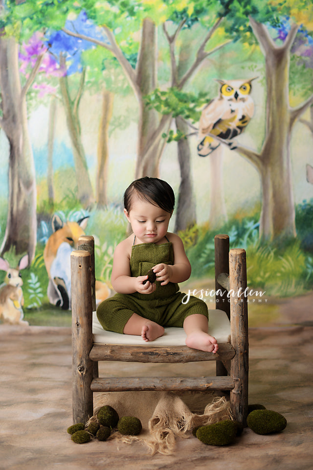 Woodland Critters - HSD Photography Backdrops 